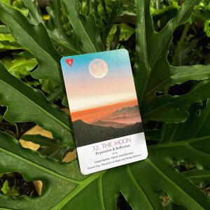 Lenormand Everywhere - Ảnh 14