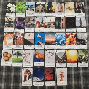 Lenormand Everywhere - Ảnh 16