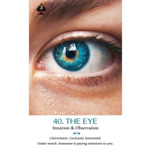 Lenormand Everywhere - Ảnh 8