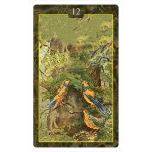 Lenormand Oracle Cards - Ảnh 4