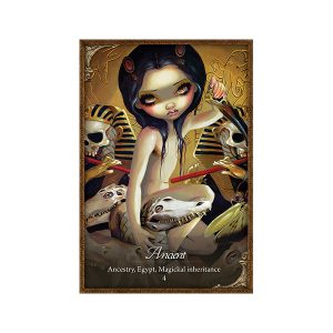 Les Vampires Oracle - Ảnh 7