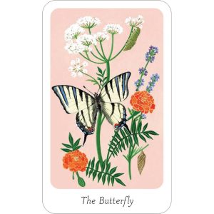 Little Witch Oracle - Ảnh 3