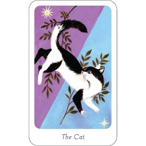 Little Witch Oracle - Ảnh 4