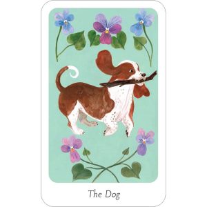 Little Witch Oracle - Ảnh 5