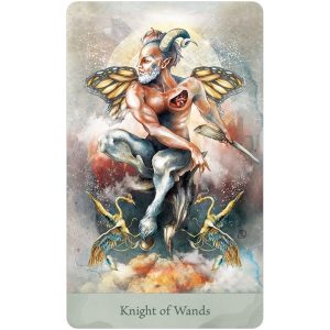 Lorenzi Tarot - Ảnh 8