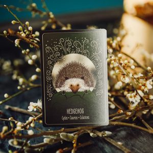 Lovely Animals Oracle - Ảnh 9