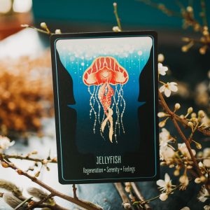 Lovely Animals Oracle - Ảnh 10