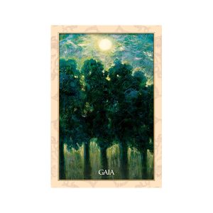 Magdalene Oracle - Ảnh 5