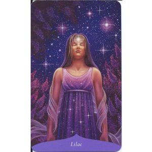 Magic of Flowers Oracle - Ảnh 6