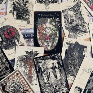 Magickal Botanical Oracle - Ảnh 10