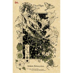 Magickal Botanical Oracle - Ảnh 6