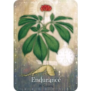 Magickal Herb Oracle - Ảnh 10