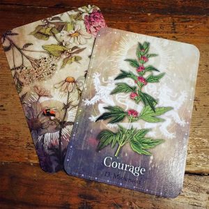 Magickal Herb Oracle - Ảnh 13