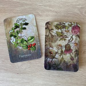 Magickal Herb Oracle - Ảnh 12
