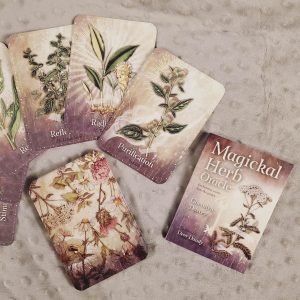 Magickal Herb Oracle - Ảnh 15