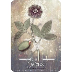 Magickal Herb Oracle - Ảnh 3