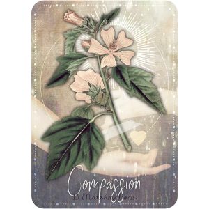 Magickal Herb Oracle - Ảnh 4