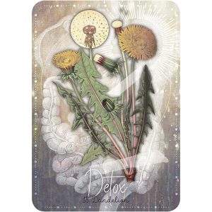 Magickal Herb Oracle - Ảnh 5