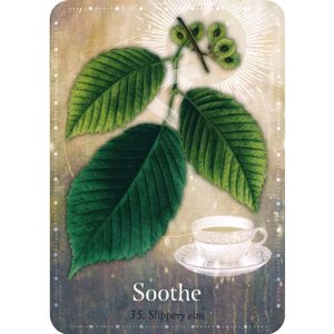 Magickal Herb Oracle - Ảnh 6