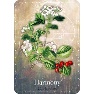 Magickal Herb Oracle - Ảnh 7