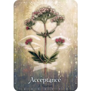 Magickal Herb Oracle - Ảnh 8