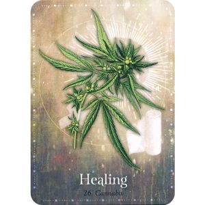 Magickal Herb Oracle - Ảnh 9