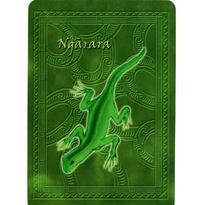 Maori Oracle - Ảnh 4
