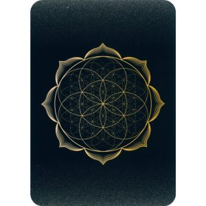 Master Teacher Crystal Oracle - Ảnh 11