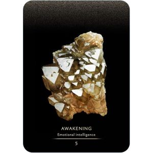 Master Teacher Crystal Oracle - Ảnh 6