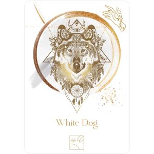 Maya Astro Cards - Ảnh 4
