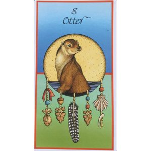 Medicine Cards - Ảnh 8