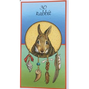Medicine Cards - Ảnh 3