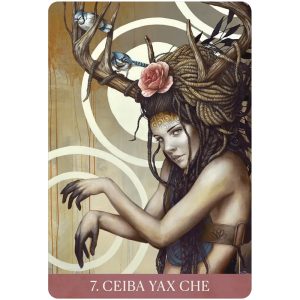 Medicine Heart Oracle - Ảnh 3