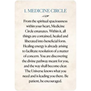Medicine Heart Oracle - Pocket Panda Edition - Ảnh 3