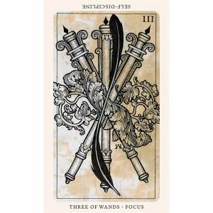 Medieval Feathers Tarot - Ảnh 10