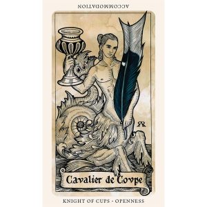 Medieval Feathers Tarot - Ảnh 9