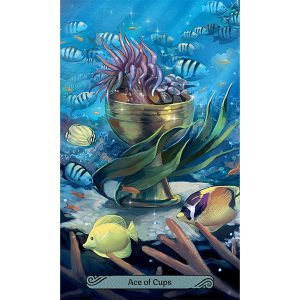 Mermaid Tarot - Ảnh 5