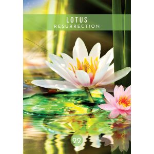 Messages from the Spirits of Nature Oracle - Ảnh 5