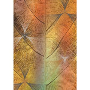 Messages from the Spirits of Nature Oracle - Ảnh 8