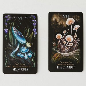 Midnight Magic Tarot of Mushrooms - Ảnh 8