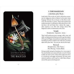 Midnight Magic Tarot of Mushrooms - Ảnh 14