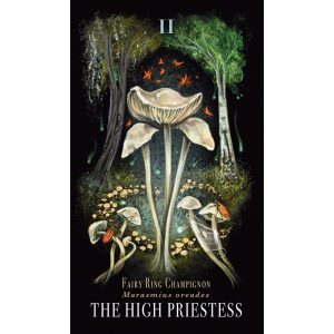 Midnight Magic Tarot of Mushrooms - Ảnh 3