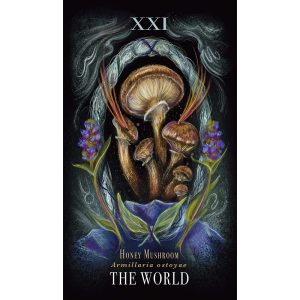 Midnight Magic Tarot of Mushrooms - Ảnh 4