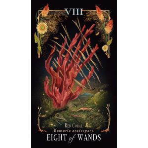 Midnight Magic Tarot of Mushrooms - Ảnh 5