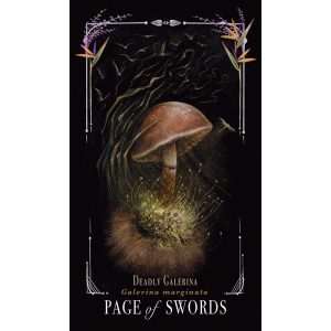 Midnight Magic Tarot of Mushrooms - Ảnh 6