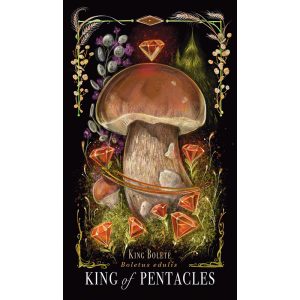 Midnight Magic Tarot of Mushrooms - Ảnh 7