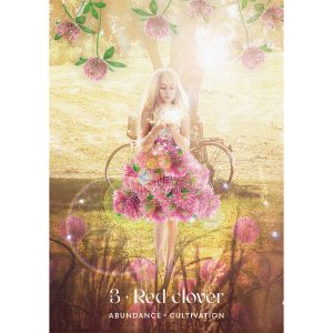 Midnight Sun Oracle - Ảnh 4