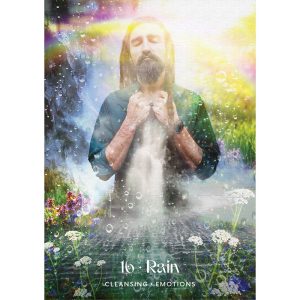 Midnight Sun Oracle - Ảnh 7