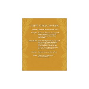 Mudras for Awakening the Energy Body - Ảnh 11