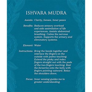 Mudras for Awakening the Five Elements - Ảnh 5